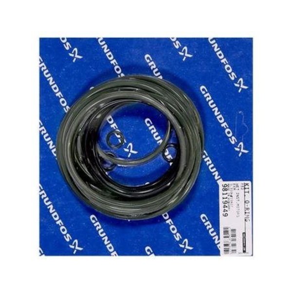 Grundfos Pump Repair Kits- Kit, O-ring set for wet motor FKM. 98119449